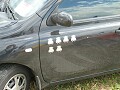 Автоэкзотика 2007